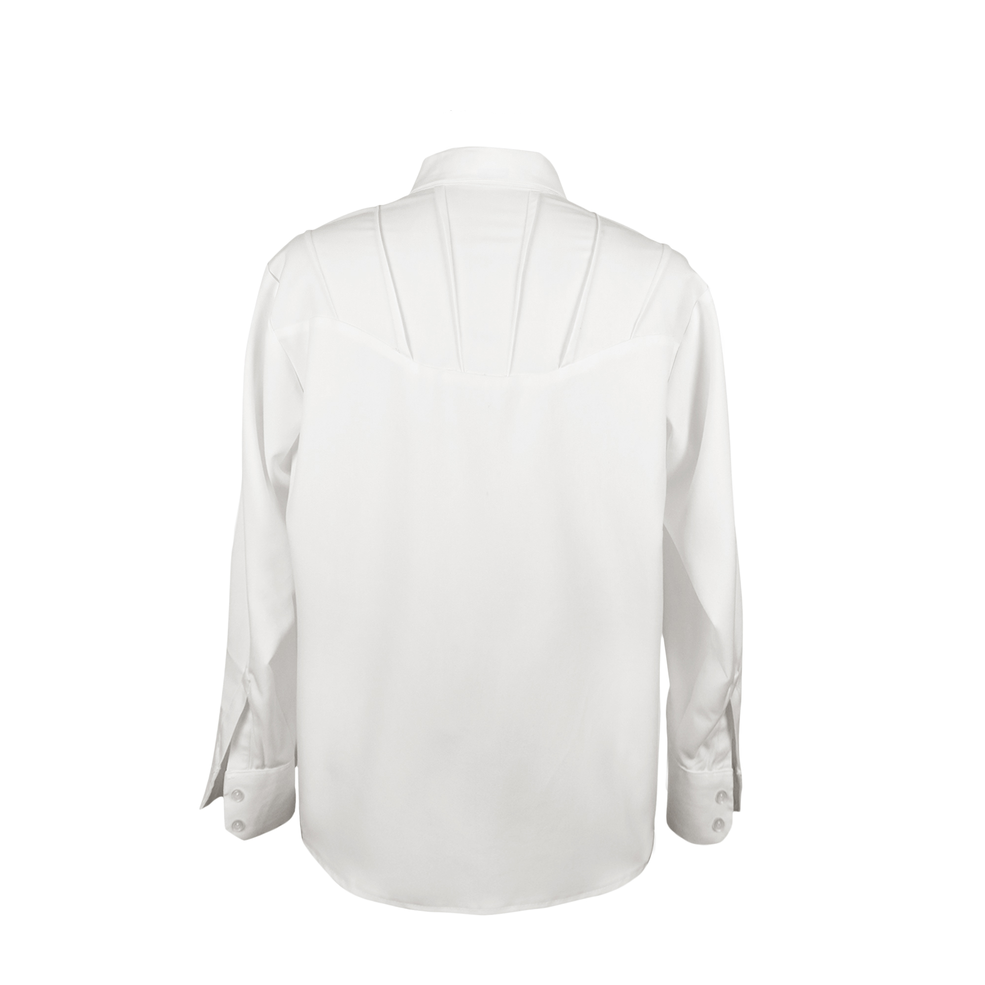 Pintuck Long Sleeve Shirt 2